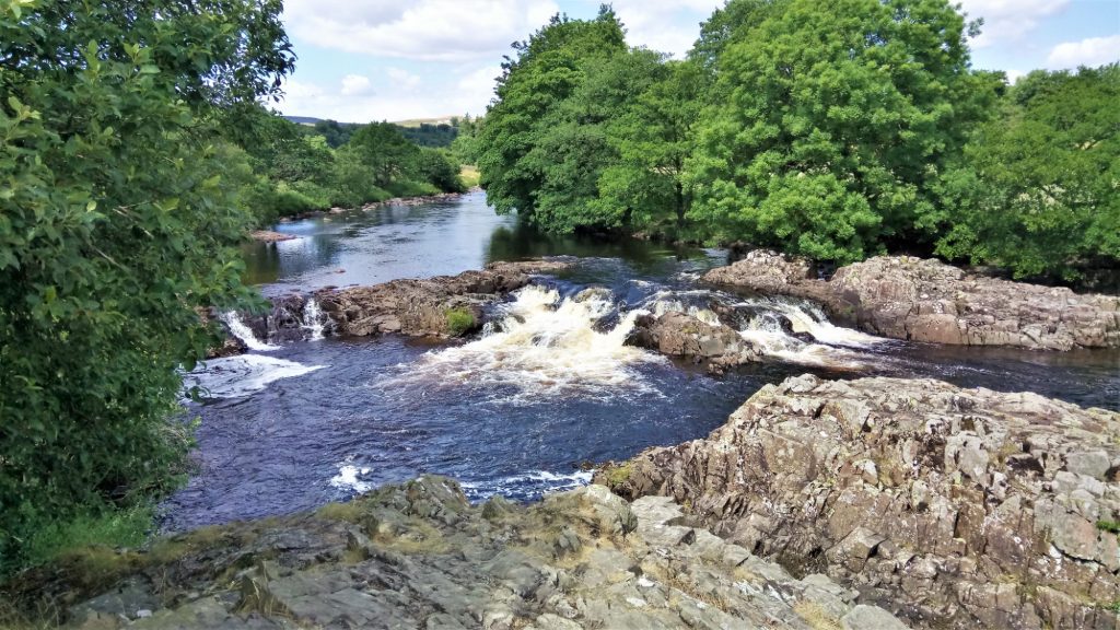 HighForce - HighForceJul2018M-13 Looking Back on Low and High Force